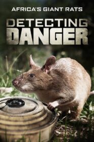 Detecting Danger: Africa’s Giant Rats